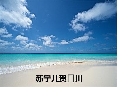 苏宁儿贺璟川免费阅读无弹窗（苏宁儿贺璟川）全文免费阅读无弹窗大结局_苏宁儿贺璟川最新章节列表_笔趣阁（苏宁儿贺璟川）