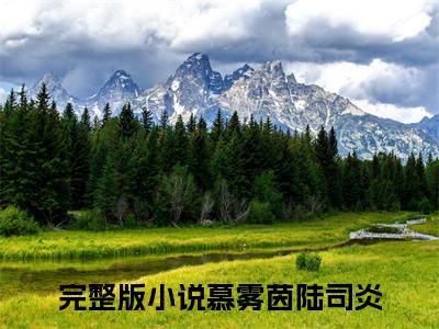 慕雾茵陆司炎(慕雾茵陆司炎)小说免费阅读-慕雾茵陆司炎（慕雾茵陆司炎）全文阅读-笔趣阁（慕雾茵陆司炎）