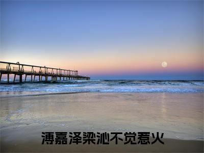 溥嘉泽梁沁不觉惹火快手热文整理-溥嘉泽梁沁小说不觉惹火今日更新章节