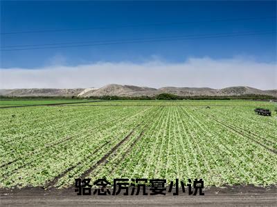 骆念厉沉宴(骆念厉沉宴)小说最新章节免费阅读_ 骆念厉沉宴免费阅读无弹窗最新章节列表_笔趣阁