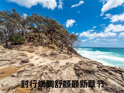 小说（封行焱陶舒颜）免费阅读-小说（封行焱陶舒颜）无弹窗大结局 封行焱陶舒颜全文在线赏析最新章节列表_笔趣阁