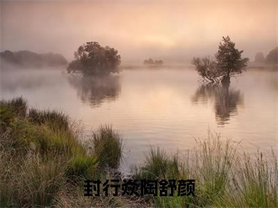 （封行焱陶舒颜小说）封行焱陶舒颜小说免费最新章节列表_笔趣阁（封行焱陶舒颜小说）