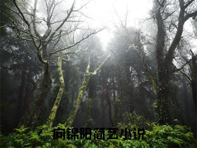 向锦阳简艺榜单小说全文免费阅读无弹窗大结局-向锦阳简艺全文在线阅读