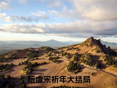 阮虞宋祈年（阮虞宋祈年小说全文）在线阅读无弹窗大结局-阮虞宋祈年全文无删减版阅读