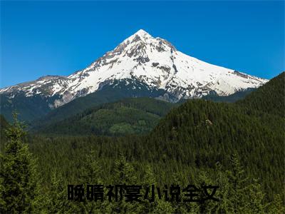 晚晴祁宴（晚晴祁宴）全文阅读-最火热点小说晚晴祁宴最新更新