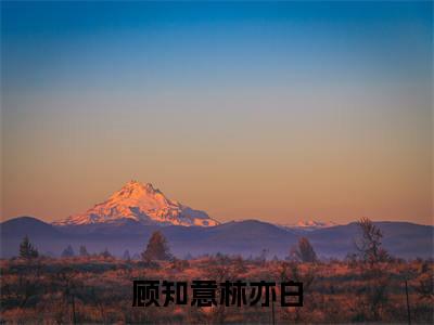 停止内卷！满级幼崽只想摆烂小说在线阅读（顾知意林亦白）全文免费阅读无弹窗大结局