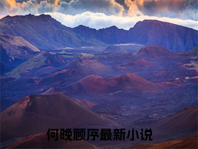 何晚顾序完整版（何晚顾序小说）全文免费阅读无弹窗大结局_何晚顾序最新章节（何晚顾序全文）