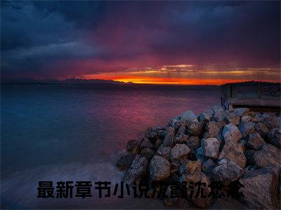沈懿沈念念小说 沈懿沈念念免费章节阅读