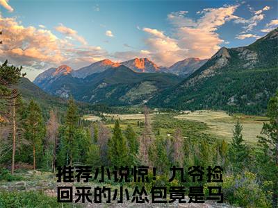 裴衍鹤苏羽（惊！九爷捡回来的小怂包竟是马甲大佬）全文免费阅读无弹窗大结局_（裴衍鹤苏羽阅读全文大结局）惊！九爷捡回来的小怂包竟是马甲大佬最新章节列表