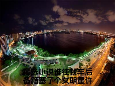 谁往我车后备箱塞了个女明星许默全文免费阅读无弹窗-谁往我车后备箱塞了个女明星许默小说最新章节列表