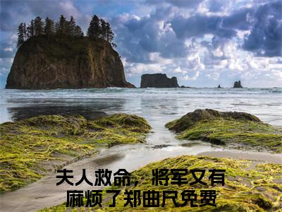 夫人救命，将军又有麻烦了郑曲尺（夫人救命，将军又有麻烦了郑曲尺全文免费阅读）小说最新章节_夫人救命，将军又有麻烦了郑曲尺全文免费阅读最新章节列表