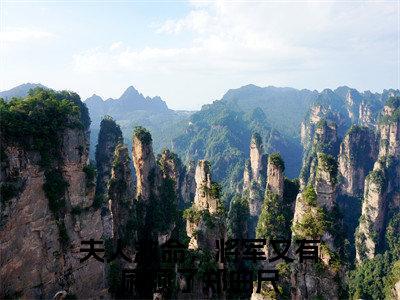主角是夫人救命，将军又有麻烦了郑曲尺的小说-《夫人救命，将军又有麻烦了郑曲尺》完整章节阅读