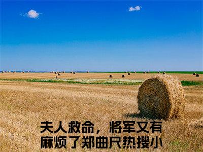 夫人救命，将军又有麻烦了郑曲尺（夫人救命，将军又有麻烦了郑曲尺）火热新书无弹窗大结局_（夫人救命，将军又有麻烦了郑曲尺）最新章节列表_笔趣阁