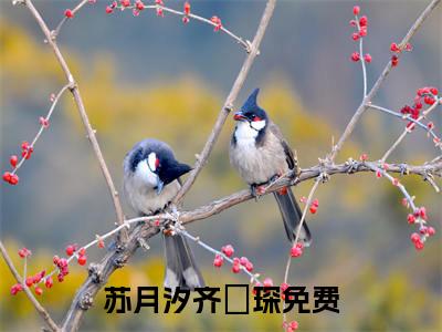 苏月汐齐璟琛(苏月汐齐璟琛)全文免费阅读无弹窗大结局_苏月汐齐璟琛小说免费阅读全文大结局最新章节列表_笔趣阁