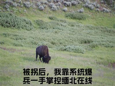 被拐后，我靠系统爆兵一手掌控缅北（坤泰方远免费小说）全文免费阅读无弹窗大结局_坤泰方远免费小说最新章节列表_笔趣阁