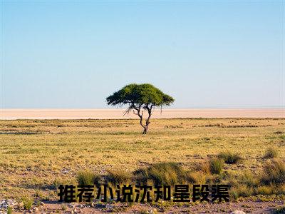 沈知星段渠精彩小说（沈知星段渠）在哪免费看-小说(沈知星段渠)全文完整版免费阅读