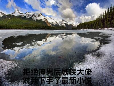 拒绝渣男后残疾大佬对我下手了（南洛沈度最新全章节大结局）全文阅读