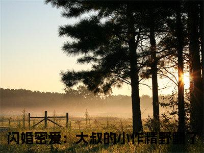 闪婚密爱：大叔的小作精野翻了（何芊遥霍瑾誉）小说全文免费阅读完整版-闪婚密爱：大叔的小作精野翻了免费在线阅读大结局（何芊遥霍瑾誉）