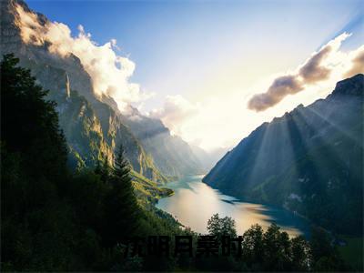 沈明月桑时热文小说全文阅读-精彩美文桑总夜敲门，沈秘书孤枕难眠免费阅读