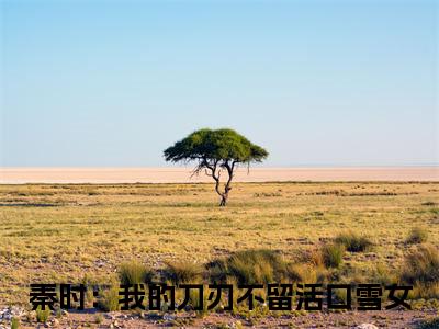 秦时：我的刀刃不留活口雪女全文免费阅读无弹窗大结局_ 秦时：我的刀刃不留活口雪女热门章节在线阅读笔趣阁