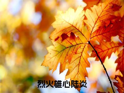 精选好书烈火雄心陆炎全文免费阅读无弹窗大结局_（烈火雄心陆炎）最新章节列表_笔趣阁（烈火雄心陆炎小说）