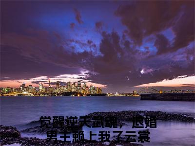 觉醒逆天武魂，退婚男主赖上我了云裳小说全文无删减版在线阅读_（觉醒逆天武魂，退婚男主赖上我了云裳）小说全文免费阅读_觉醒逆天武魂，退婚男主赖上我了云裳最新章节列表_笔趣阁