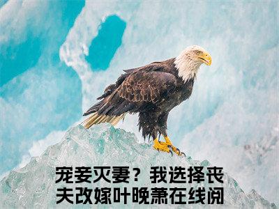 宠妾灭妻？我选择丧夫改嫁叶晚萧（宠妾灭妻？我选择丧夫改嫁叶晚萧无弹窗）全文免费阅读无弹窗大结局_（宠妾灭妻？我选择丧夫改嫁叶晚萧全文免费阅读无弹窗）宠妾灭妻？我选择丧夫改嫁叶晚萧无弹窗最新章节列表_笔趣阁