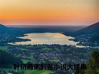 美文叶初苒谢酌言大结局小说-小说（叶初苒谢酌言）免费分享
