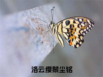 洛云缨黎尘铭的小说(洛云缨黎尘铭)最新章节全文免费阅读_笔趣阁
