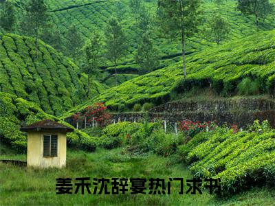 姜禾沈辞宴（姜禾沈辞宴）全文免费阅读无弹窗大结局_(姜禾沈辞宴小说免费阅读)最新章节_笔趣阁