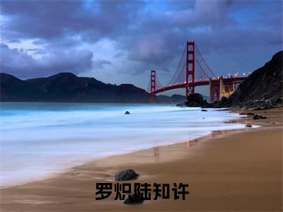 罗炽陆知许免费完结小说-罗炽陆知许在线阅读全文（罗炽陆知许）