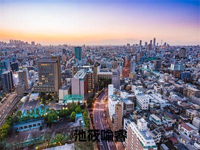 池筱喻睿全文（池筱喻睿）全文免费阅读无弹窗大结局_（池筱喻睿）池筱喻睿最新章节列表笔趣阁（池筱喻睿）