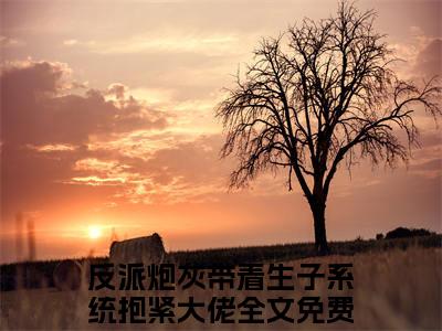 风禾反派炮灰带着生子系统抱紧大佬小说免费阅读-风禾抖音新书热荐