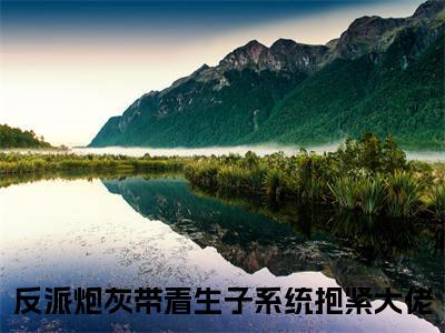 风禾反派炮灰带着生子系统抱紧大佬小说热门全集在线观看风禾免费章节试读