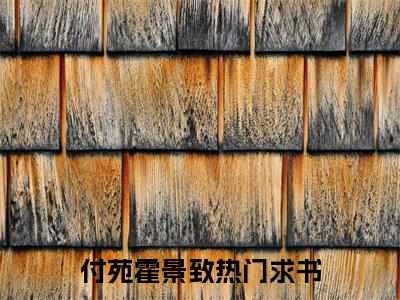 付苑霍景致全文免费完整版-付苑霍景致小说阅读