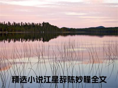 小说（江星辞陈妙瞳）最新章节免费阅读-（江星辞陈妙瞳）小说全文无删减版