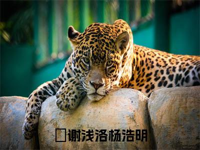 谢浅洛杨浩明（谢浅洛杨浩明）全文免费阅读无弹窗大结局_谢浅洛杨浩明全文免费阅读_笔趣阁