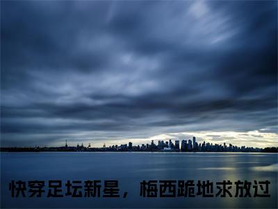 小说江浩齐达内（快穿足坛新星，梅西跪地求放过）免费阅读-小说江浩齐达内全文在线赏析