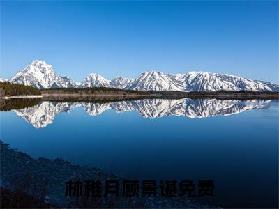 林稚月顾景谌（林稚月顾景谌）全文无弹窗阅读-林稚月顾景谌最新章节完整版阅读