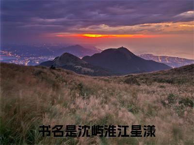 沈屿淮江星漾小说小说全文免费阅读（沈屿淮江星漾）全文免费沈屿淮江星漾读无弹窗大结局