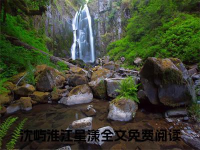沈屿淮江星漾精彩章节在线阅读_沈屿淮江星漾免费观看（沈屿淮江星漾）完结版_笔趣阁