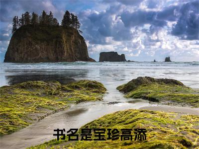 热文（宝珍高添）美文阅读_热门小说主人公是（宝珍高添）最新章节限时观看_笔趣阁