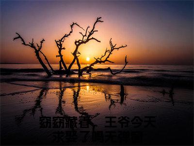 苏明珩苏玉窈免费小说全文免费阅读无弹窗大结局_窈窈藏春，王爷今天求娶了吗完结版在线阅读