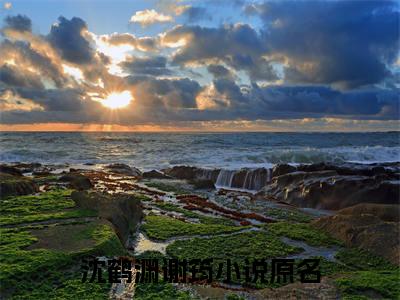 沈鹤渊谢筠书名是《沈鹤渊谢筠》在线赏析_沈鹤渊谢筠txt小说阅读_沈鹤渊谢筠在线阅读笔趣阁