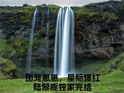 团宠崽崽，星际爆红陆黎栀全文免费阅读无弹窗大结局_团宠崽崽，星际爆红陆黎栀免费阅读最新章节列表_笔趣阁（团宠崽崽，星际爆红陆黎栀）