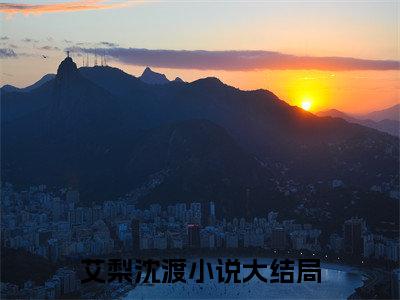 艾梨沈渡小说（艾梨沈渡）无弹窗大结局-艾梨沈渡完整版免费阅读
