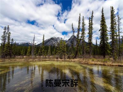 陈曼宋辞书名是《陈曼宋辞》在线赏析_陈曼宋辞txt小说阅读_陈曼宋辞在线阅读笔趣阁