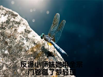 反派小师妹她带全宗门卷疯了梦轻瑶（反派小师妹她带全宗门卷疯了梦轻瑶)全文免费阅读无弹窗大结局_反派小师妹她带全宗门卷疯了梦轻瑶全文免费阅读_笔趣阁（反派小师妹她带全宗门卷疯了梦轻瑶）