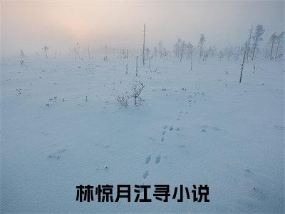 林惊月江寻（林惊月江寻）全文在线阅读无弹窗大结局_(林惊月江寻在线阅读)最新章节列表_笔趣阁（林惊月江寻）
