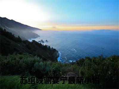 苏绾晚谢宴宁小说_主角叫：苏绾晚谢宴宁的小说全文免费阅读无弹窗